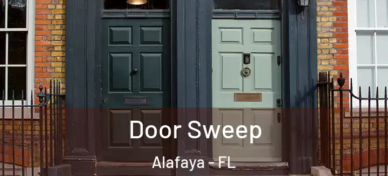  Door Sweep Alafaya - FL
