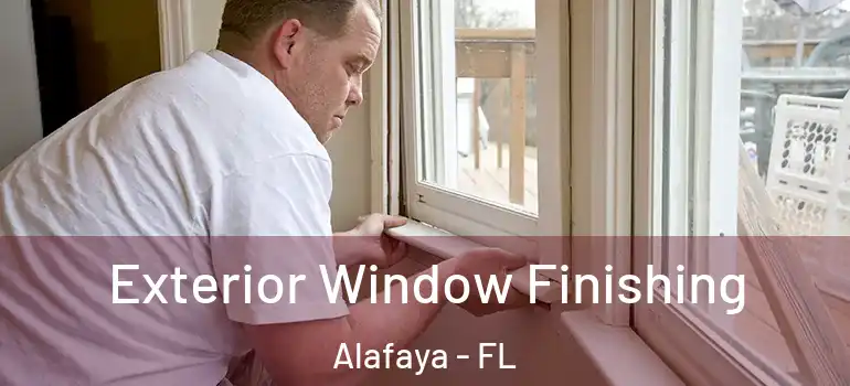  Exterior Window Finishing Alafaya - FL