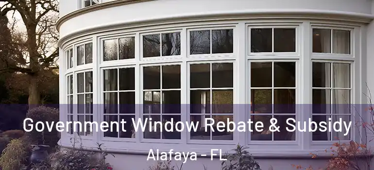  Government Window Rebate & Subsidy Alafaya - FL