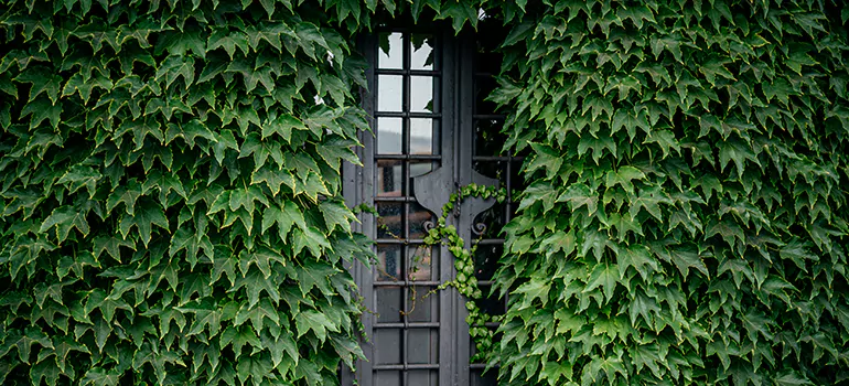 Garden Gate Repair in Alafaya, FL