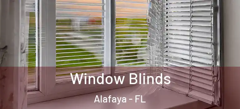  Window Blinds Alafaya - FL