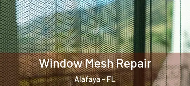  Window Mesh Repair Alafaya - FL
