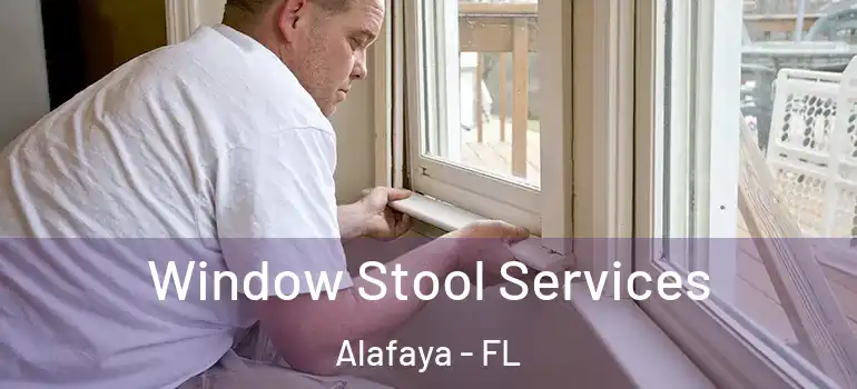 Window Stool Services Alafaya - FL